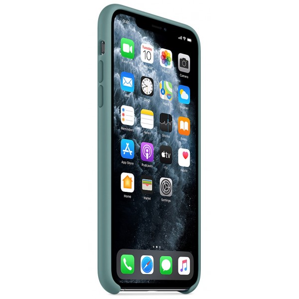 Чехол Silicone Case качество Lux для iPhone 11 Pro Max дикий кактус