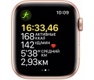 Apple Watch SE, 40 мм, корпус из алюминия золотого цвета, спортивный ремешок цвета (сияющая звезда)